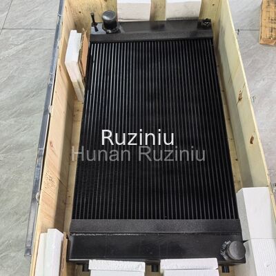 160801010169A002 SANY Máy sưởi nước